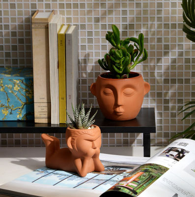 المقاومة للبقع في الأماكن المغلقة