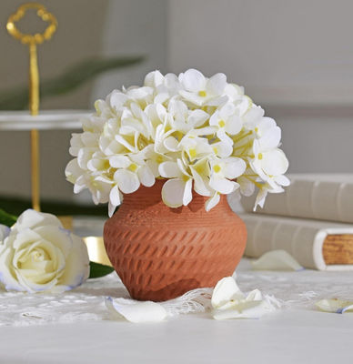 لا يوجد ميكروويف آمن فاز السيراميكي الروستي خال من الرصاص